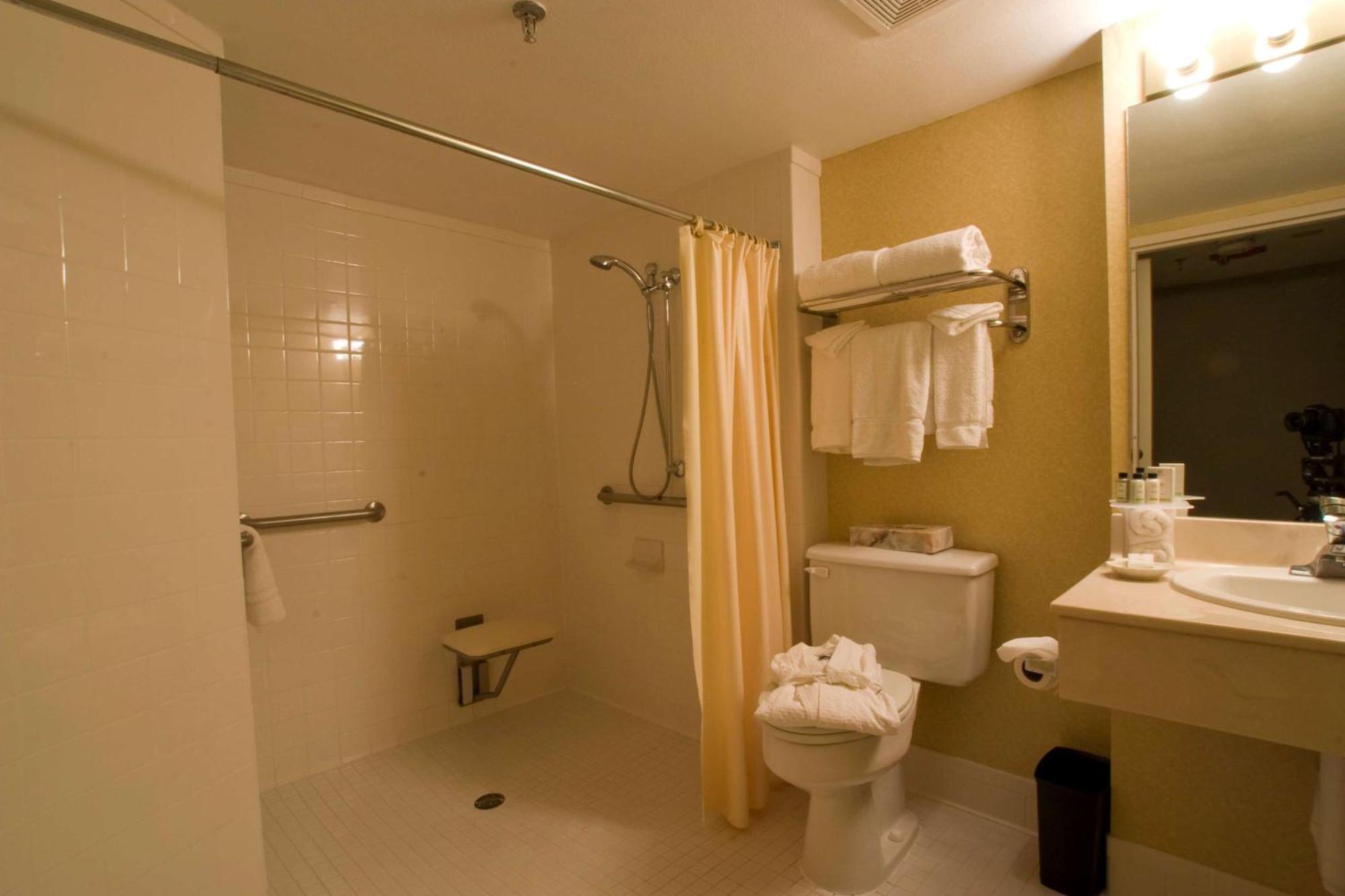 One-Bedroom King Suite with Roll-In Shower - Mobility Access/Non-Smoking